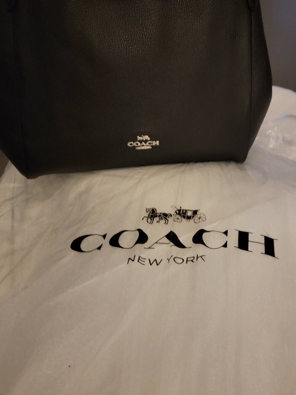 COACH NWT pebble leather Hailley Bag